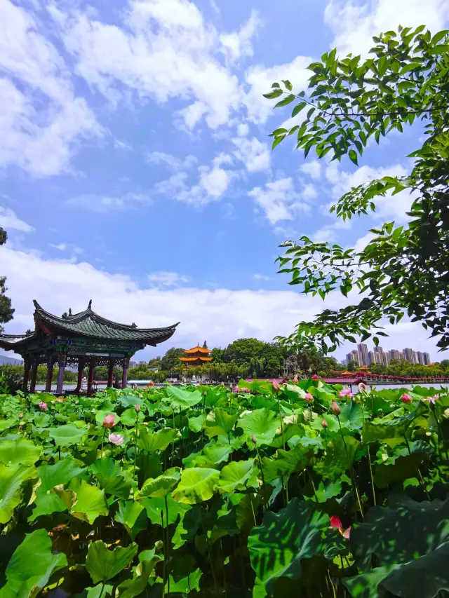 【雲南·大觀公園】之旅，第二彈