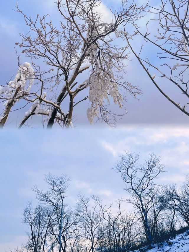 邂逅四川賞雪勝地綿陽九皇山yyds