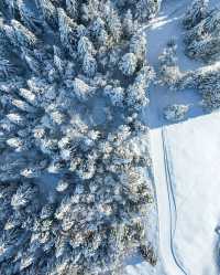 陽光在頂峰等你：一場與Semnoz山的浪漫滑雪約會