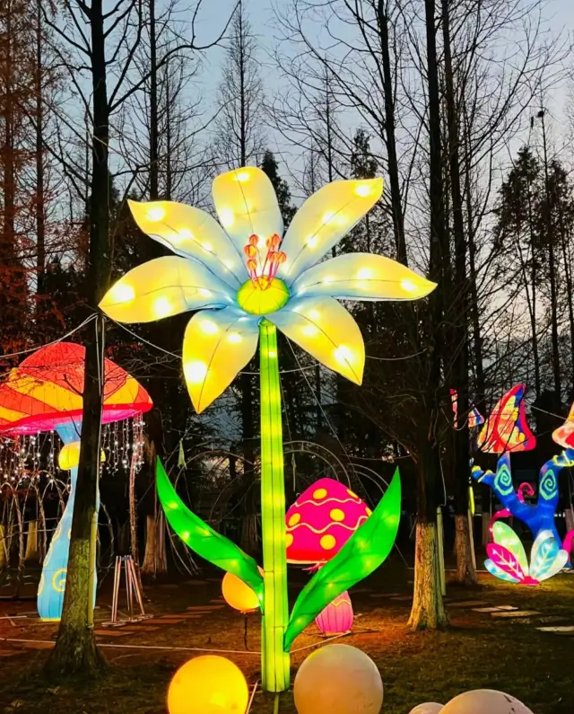 Kunming| The atmosphere of the Spring Festival is full~