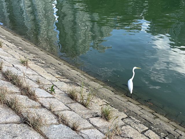 🇭🇰大埔海濱公園