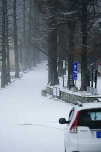 武漢的雪，落在了木蘭山之上