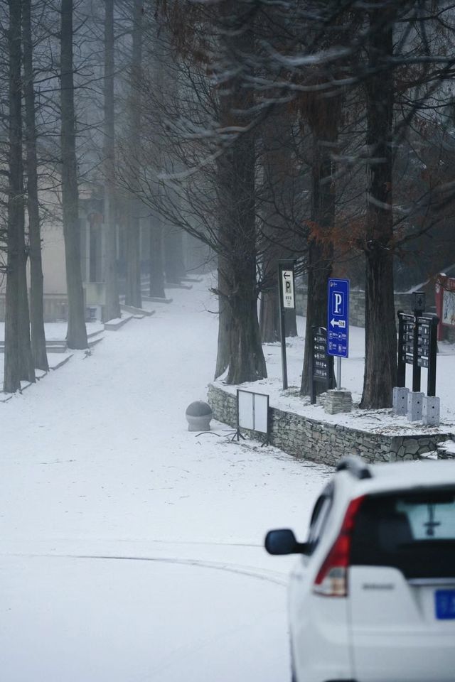 武漢的雪，落在了木蘭山之上