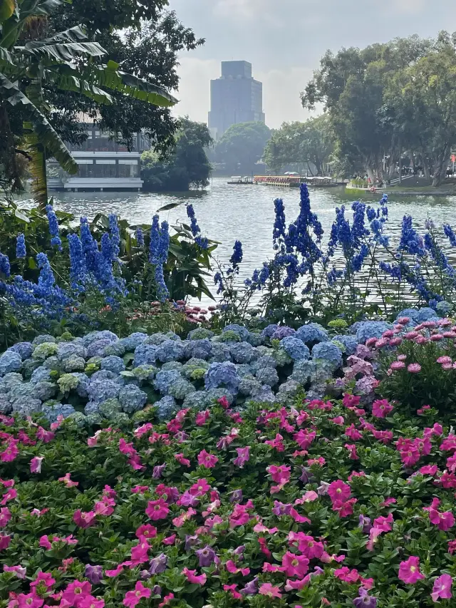 広州で写真を撮る