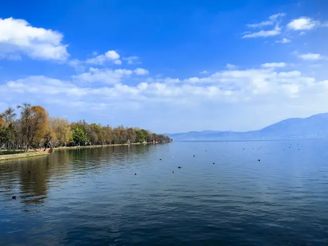 風花雪月〜海舌公園、S湾、才村