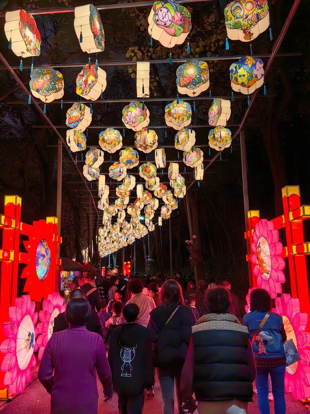 🏮 離開廣州前一定要來看新春燈展❗️太好看了！ 🎊