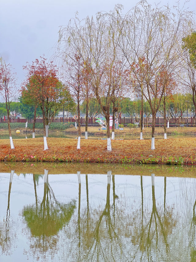 平陽週末去哪兒 去濕地公園露營吧