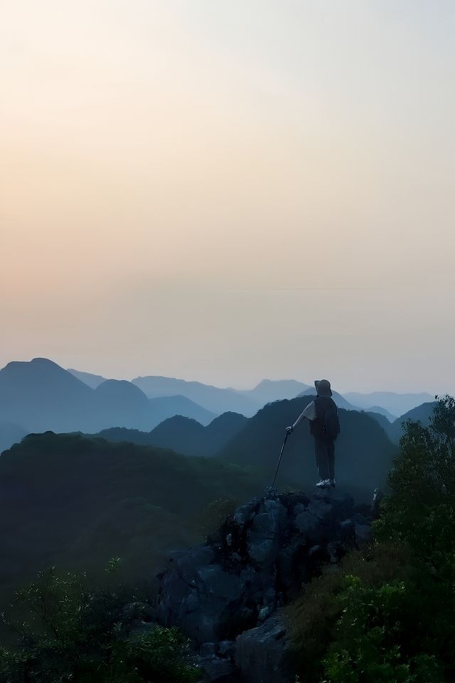 比花更有殺傷力的是向上的生命力