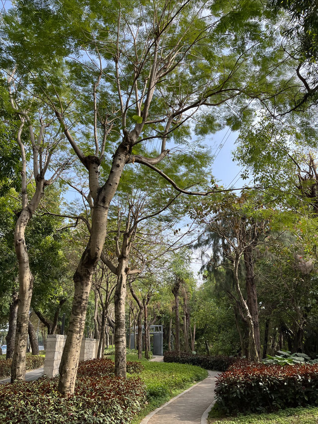 深圳Citywalk：福榮綠道