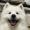 Foster_Liam_31