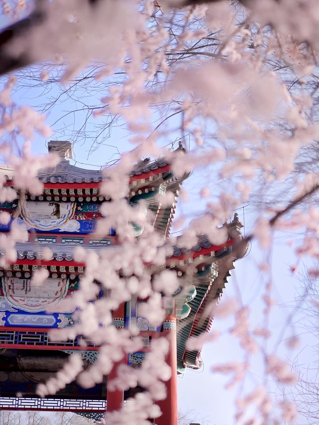 人生建議：北京三月，一定要去一次頤和園