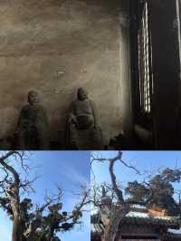 “寶”藏廣勝寺：探索七彩琉璃塔與珍貴文物的奇妙之旅