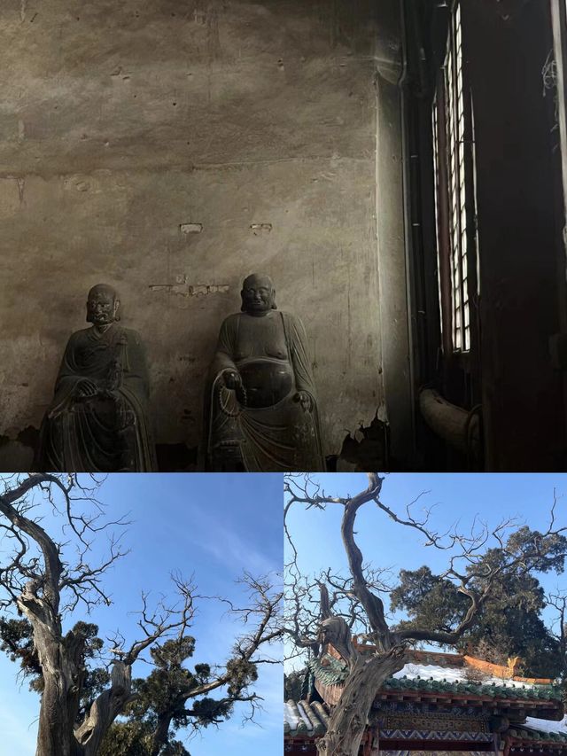 “寶”藏廣勝寺：探索七彩琉璃塔與珍貴文物的奇妙之旅