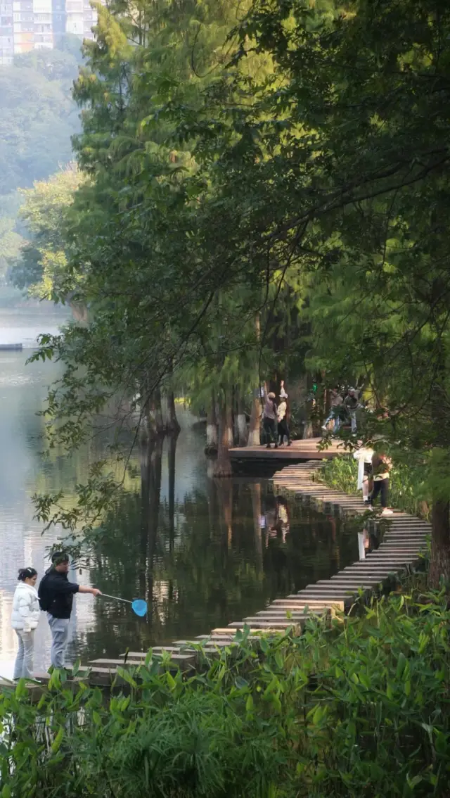 彩雲湖公園 感受綠野仙蹤般的浪漫