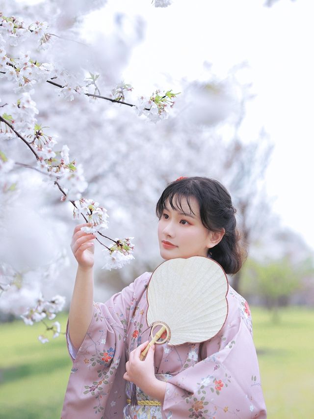 我願稱之為上海賞櫻天花板——辰山植物園