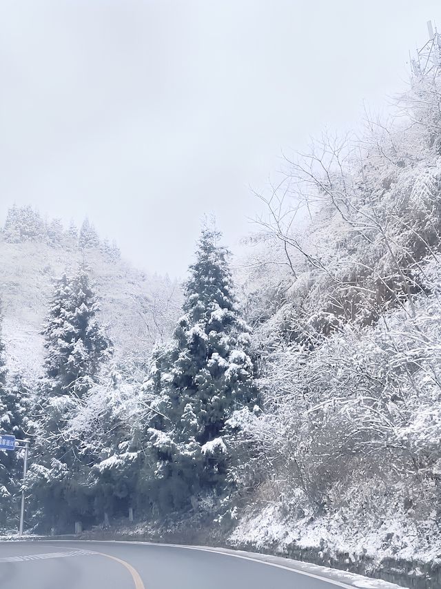 仙女山的雪景太棒了，只需要知道這8點就能快樂到飛！