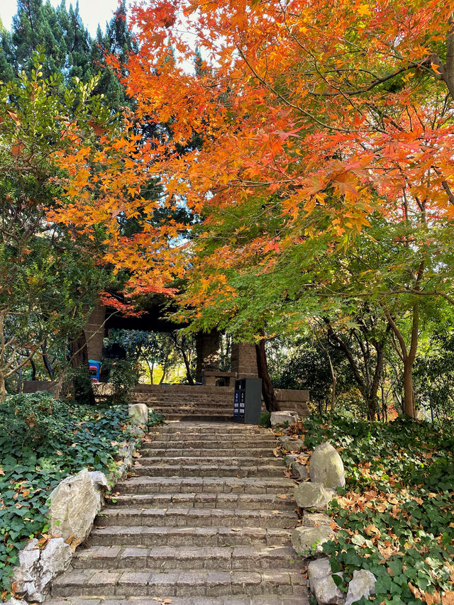 魔都打卡@魔都秋日大賞之魯迅公園