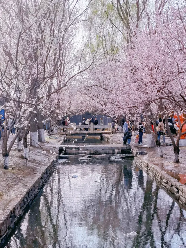 北京東城區三里河｜大前門外三里河，春風習習最悠閒