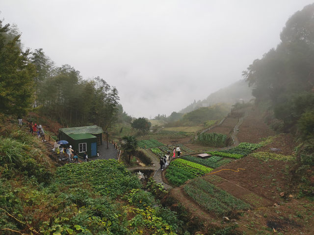 山野遛娃｜享受山林美景、玩創意手作