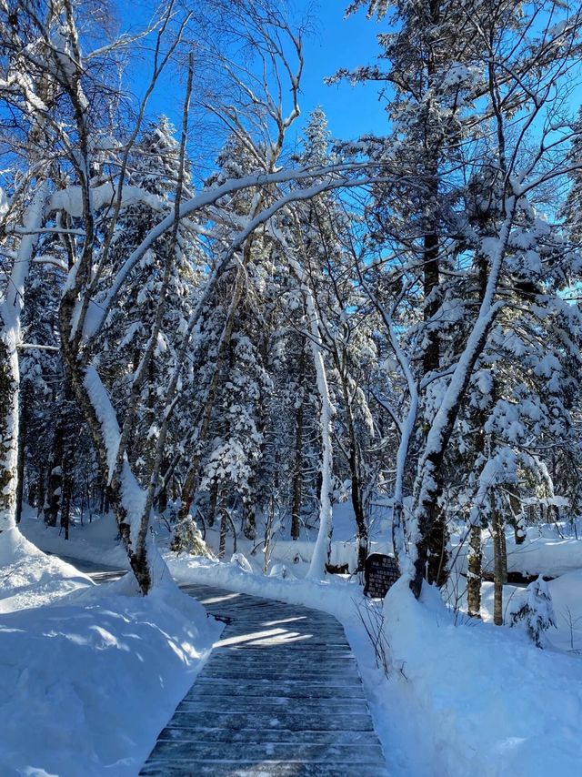 長白山旅遊攻略