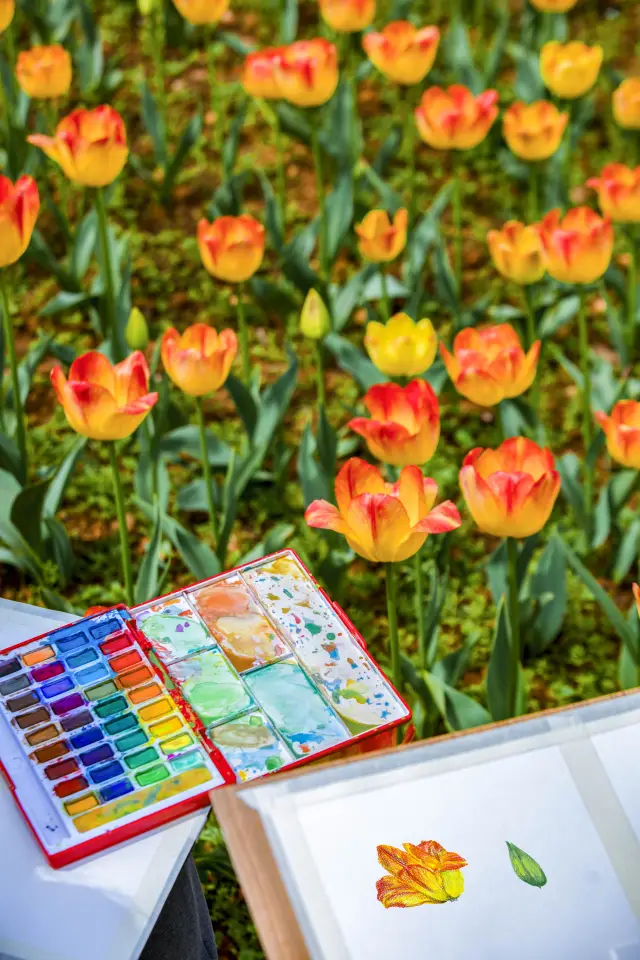 Step into the sea of flowers in spring, and make a date with the tulips