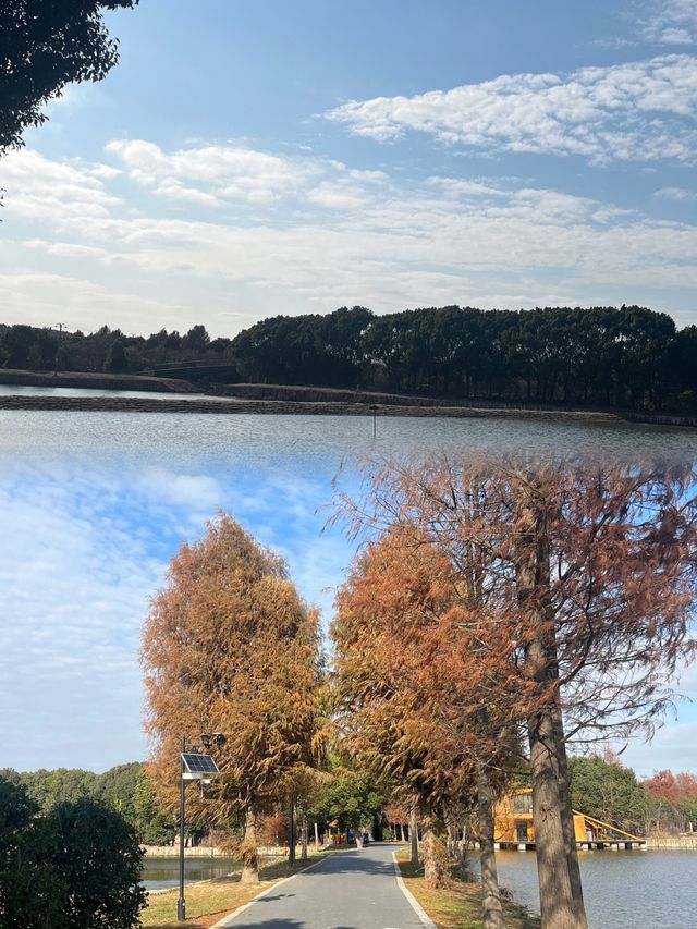 上海郊區一個最適合週末休閒遊玩的免費公園