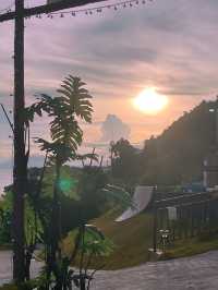 加州橘子 | 金沙灣依山傍海ノ寶藏營地