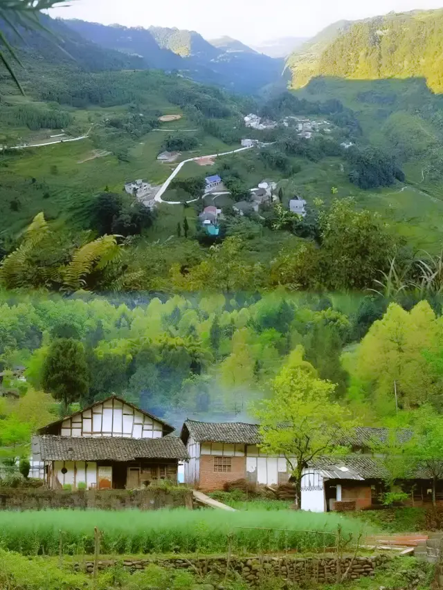 探索四川的隱秘角落，感受大自然的魅力！