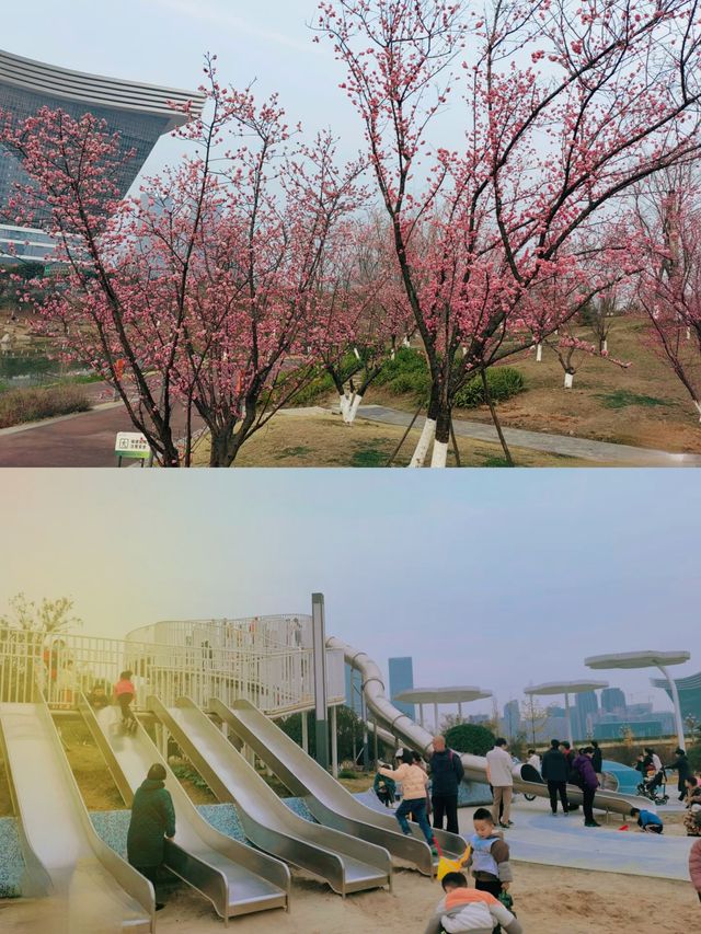 成都免費遛娃好去處桂溪生態公園西區