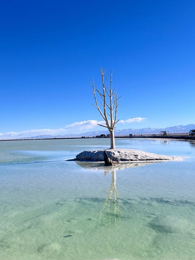 青海明珠：茶卡鹽湖，一生必去的55個地方之一