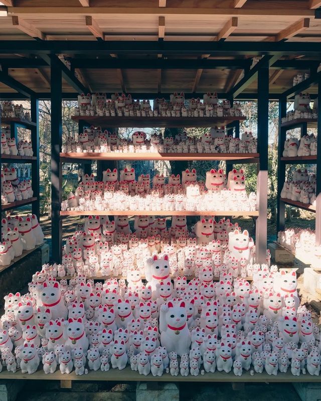 豪德寺｜東京招財貓的神社