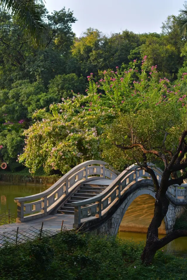 Explore Nanning People's Park: A Fusion of Nature and Joy