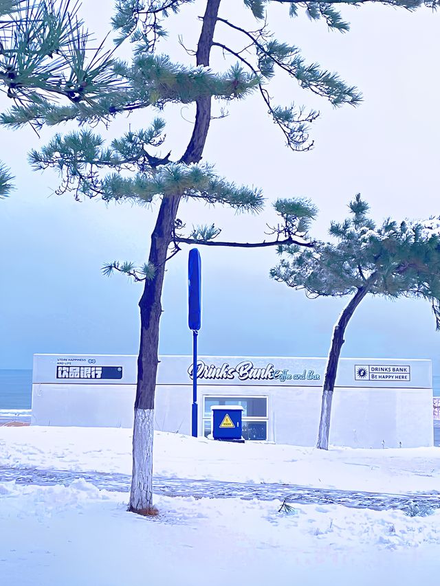 威海｜葡萄滩海水浴場｜北極圈威海分圈