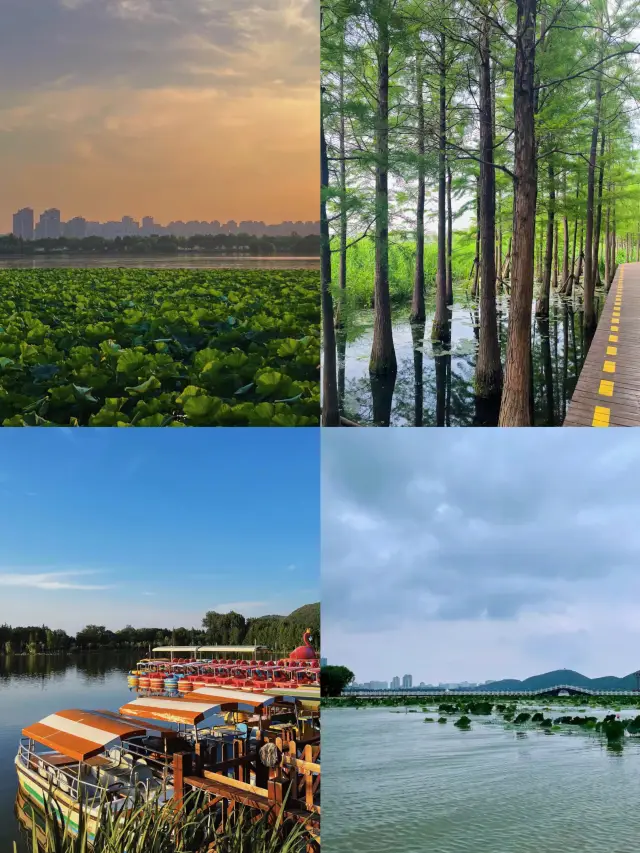 Yunlong Lake | The "West Lake" hidden in Xuzhou, where the experience is absolutely fulfilling