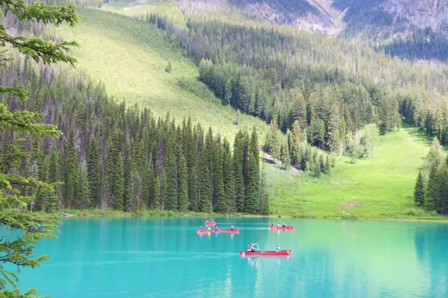 Vancouver | Jasper National Park