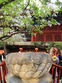 那是建在丁香花林里的北京中轴線古寺