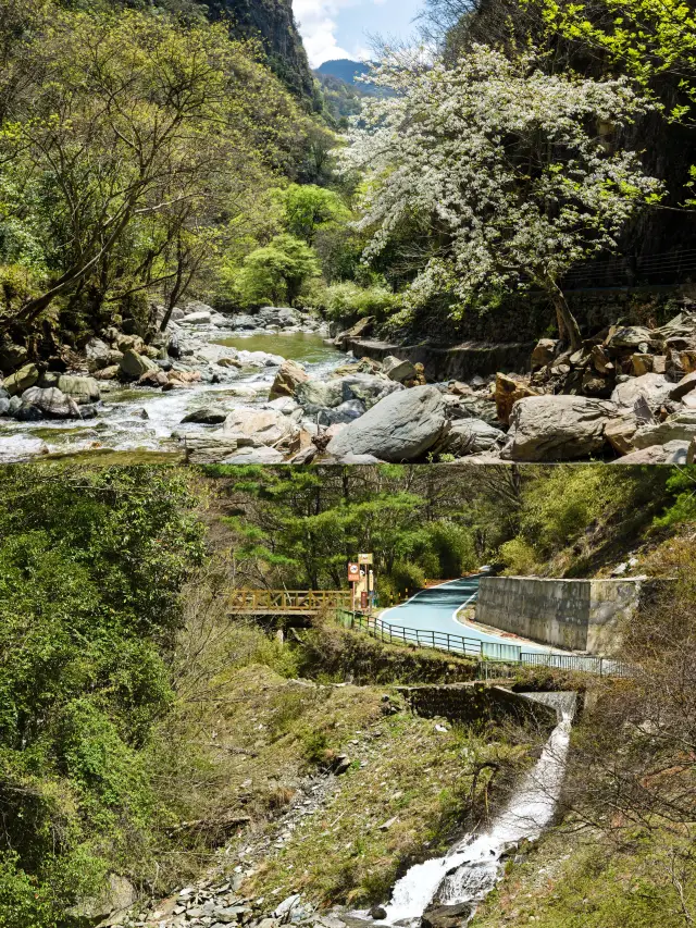 Chengdu Surroundings｜Spring Outing to Feel the Different Ancient Charm