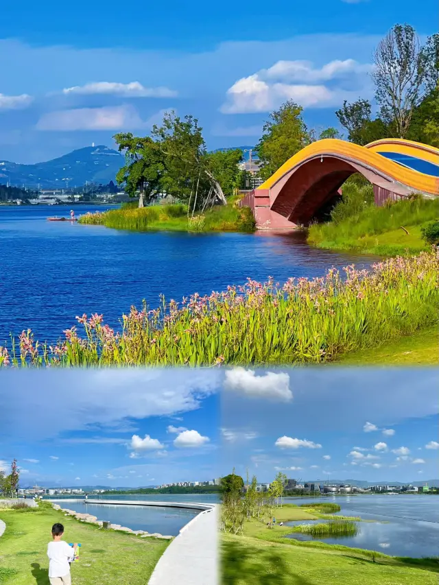 Indeed, it is the ceiling of Chengdu's parks! | Xinglong Lake Wetland Park