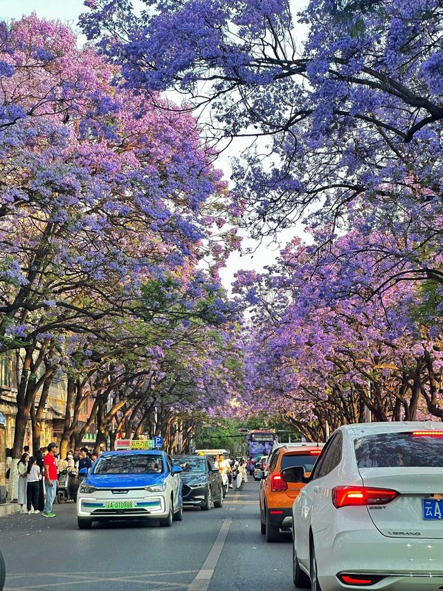 昆明｜你不要太浪漫！