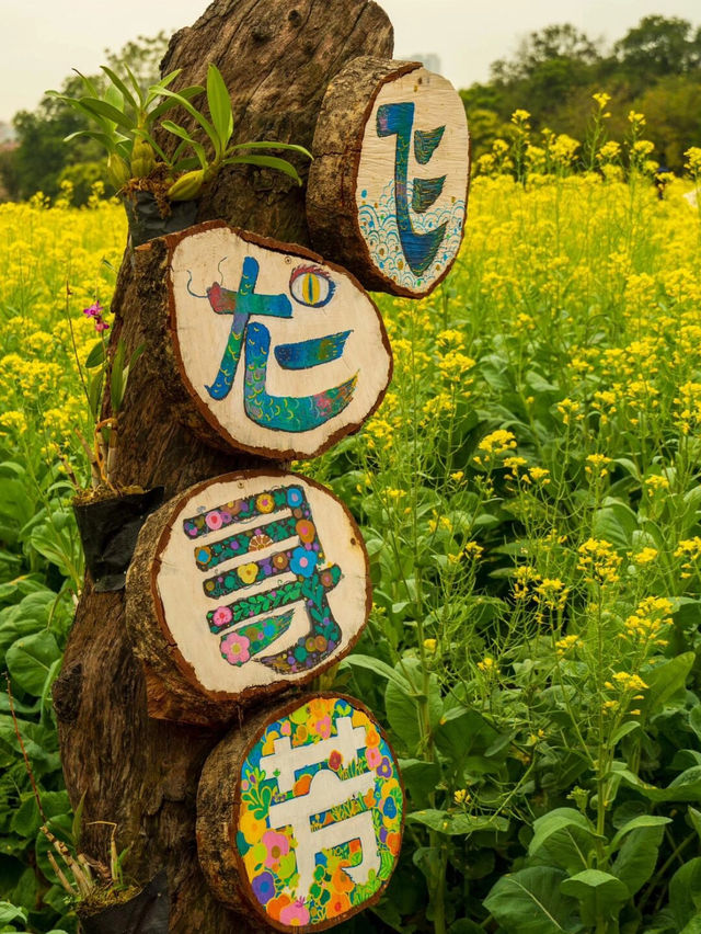 廣州海珠濕地公園：美景驚艷，難忘體驗