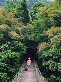 青城山後勁兒太大了，睡進森系山谷裡