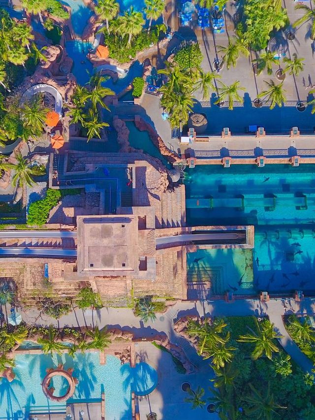 Bahamas Bliss 🌴✨: Unwind at The Cove at Atlantis!