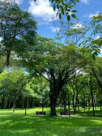 深圳！不要錢！城市中心公園天花板！！