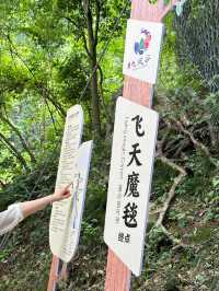 宜昌冷門寶藏打卡地：三峽九鳳谷，一個有很多瀑布的地方