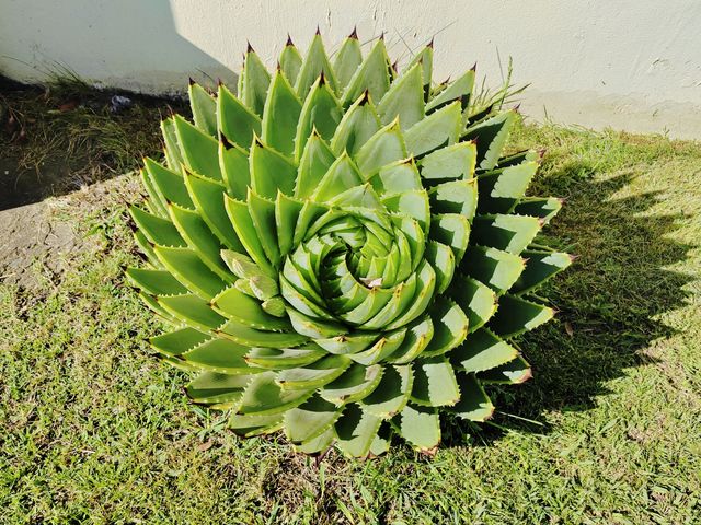 莱索托馬塞盧城市一瞥