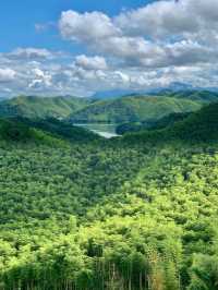 瘋傳朋友圈的神秘仙境！竟然藏在浙江，不是新疆！