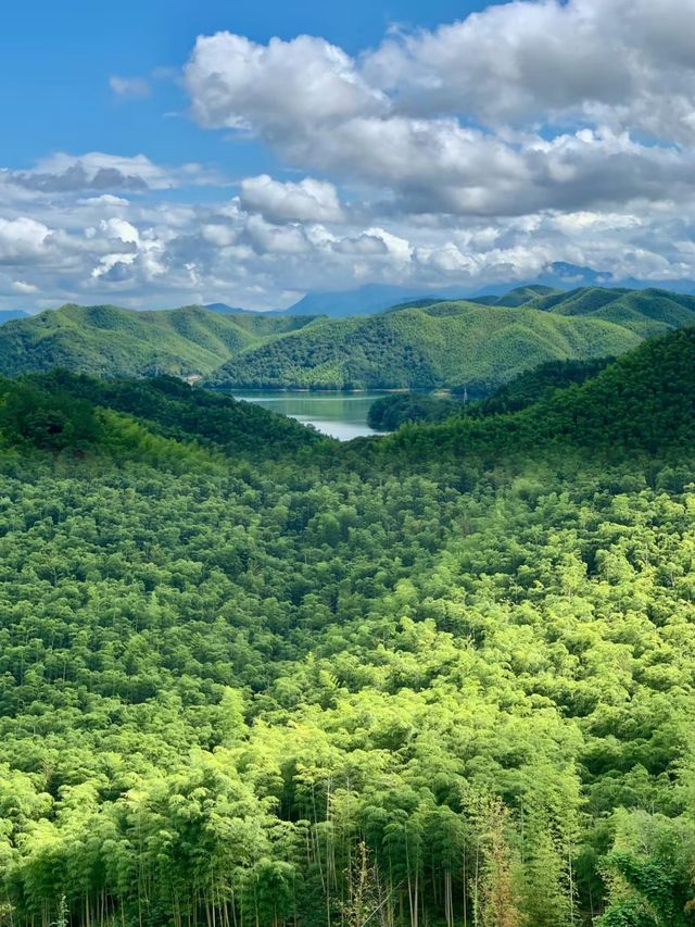 瘋傳朋友圈的神秘仙境！竟然藏在浙江，不是新疆！