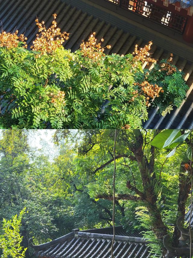 貴港南山寺超細緻遊玩攻略