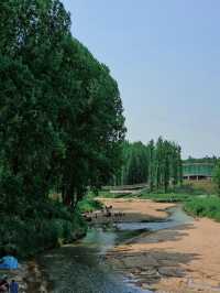 樹林、木屋、沙灘、河流…能滿足所有的幻想