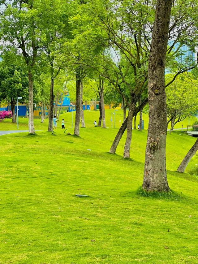 在成都！！！我唯一想去無數次的公園！！